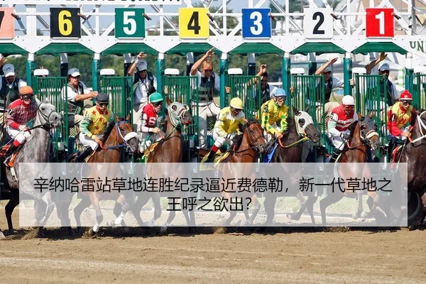辛纳哈雷站草地连胜纪录逼近费德勒，新一代草地之王呼之欲出？