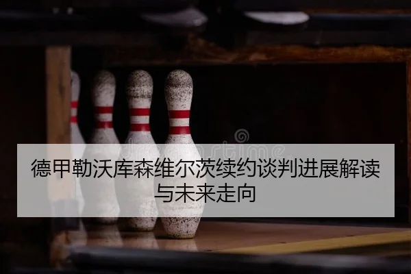 德甲勒沃库森维尔茨续约谈判进展解读与未来走向（Leyu）